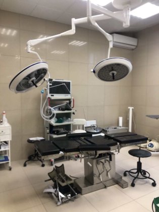 操作劇場の器械 FL720/520 は外科獣医の作動ランプを導きました