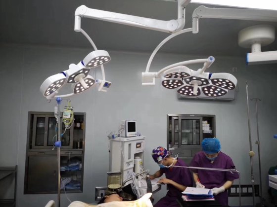 高く大きい工場価格の天井の Shadowless 作動ランプ、外科は作動ライトを導きました