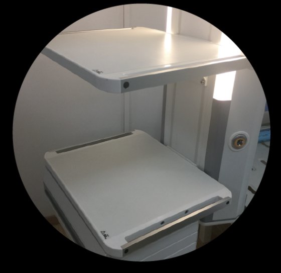 ICUメディカルペンダント メディックアラートペンダント マウントブリッジ