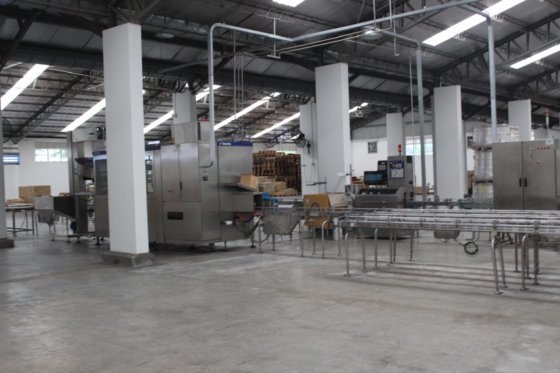 配备两条无菌灌装线的全套利乐包 UHT 设备