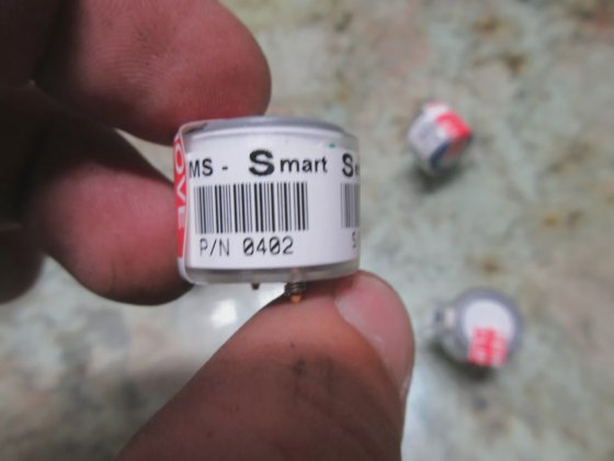 BIOSYSTEMS Hydrogen Sulfide Sensor 54-04-02
