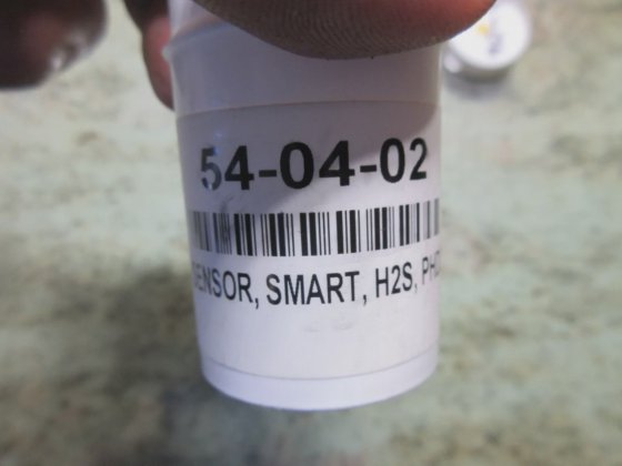 BIOSYSTEMS Hydrogen Sulfide Sensor 54-04-02