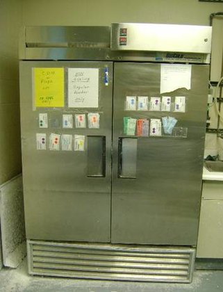 Incubator/ Environmental Chamber. 2453 in
