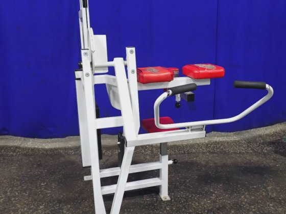 Cybex Arm Curl Exercise Machine