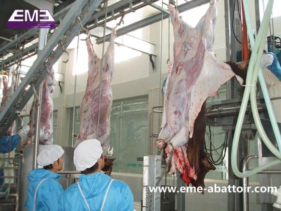 奶牛屠宰加工厂 牛拉皮机 牛剥皮机 牛屠宰场设备