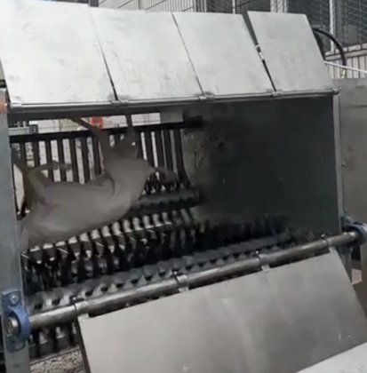 自動ヤギ肉屠殺ライン 羊毛脱毛機 羊屠殺場 用の羊肉加工機