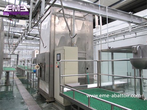 生きた豚の体重計 殺処理機器 食肉処理場設備