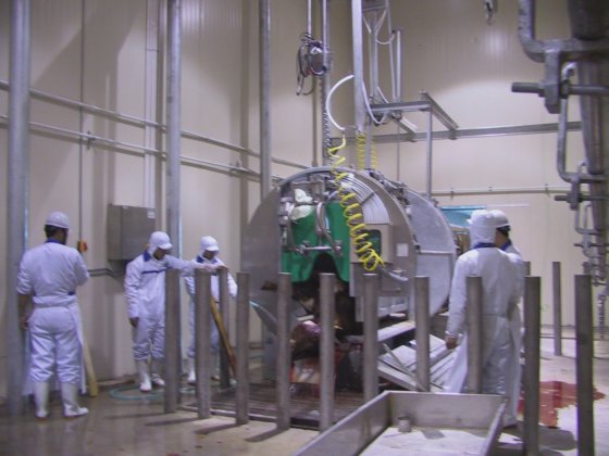 自動屠殺機器 牛屠殺場用殺戮ボックス