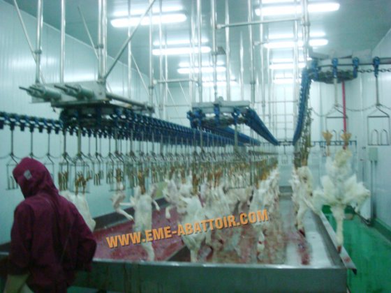 鶏の骨格自動重量計屠殺機工場価格付き