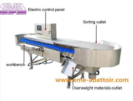 牲畜屠宰场屠宰重量分选机自动分级秤装置屠宰场设备