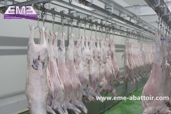 交钥匙工程 用于羊肉加工的绵羊/山羊放血手动输送轨道 用于屠宰厂的屠宰设备