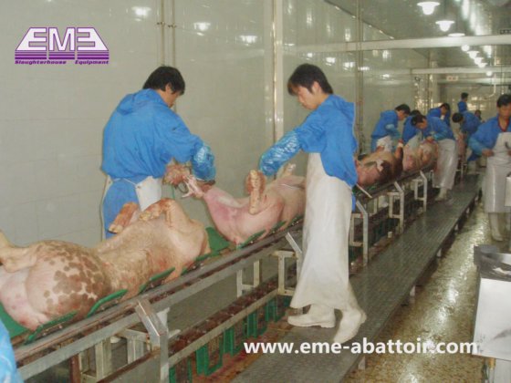快速胴体皮开放式输送机 猪屠宰设备