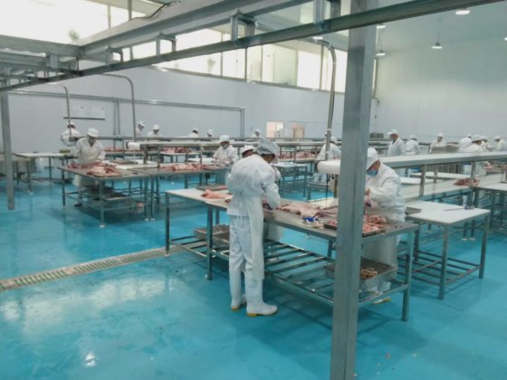 プロフェッショナル食肉処理道具 白い内臓除去プラットフォーム 牛屠殺場設備