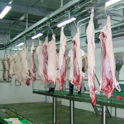 用于屠宰场肉类加工的自动生猪屠宰线设备屠宰机