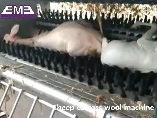 肉処理ライン 自動羊屠殺機 山羊麻酔ボックス 屠殺設備