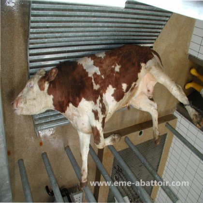 用于牛肉加工厂的 50-150 头牛屠宰场牛屠宰线屠宰设备