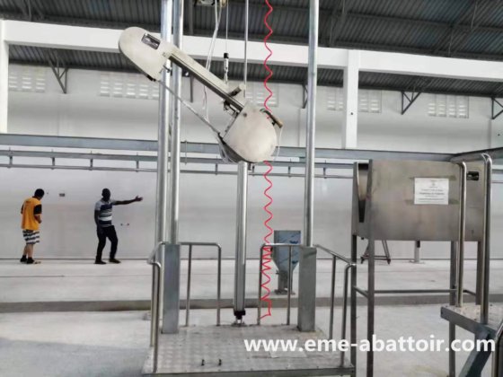 簡単操作の屠殺場機器 屠殺ナイフ 肉体分割のこぎり 牛屠殺機械