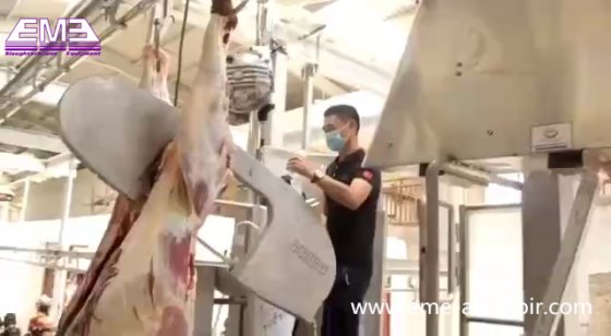 簡単操作の屠殺場機器 屠殺ナイフ 肉体分割のこぎり 牛屠殺機械