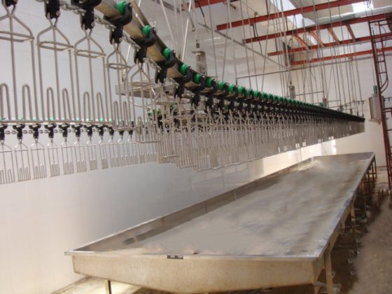 出厂价家禽放血自动输送轨道家禽设备养鸡场鸡屠宰场设备