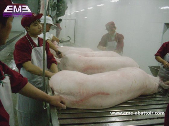 自動搬送テーブル食肉処理機械 豚肉工場屠殺プロセス