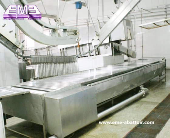 自動搬送テーブル食肉処理機械 豚肉工場屠殺プロセス