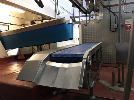 活羊/山羊约束尼龙皮带输送机 清真山羊肉屠宰场设备