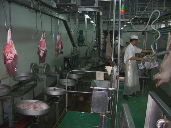 猪内脏同步检疫落地式输送机 屠宰设备