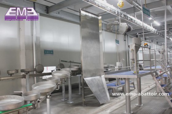 猪内脏同步检疫落地式输送机 屠宰设备