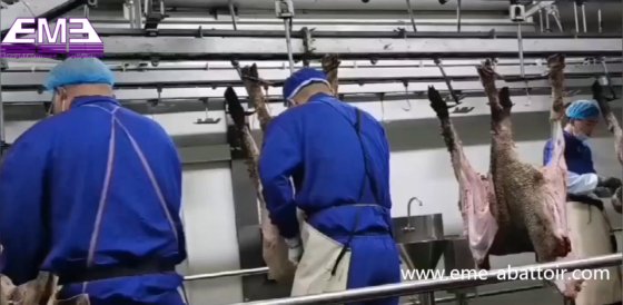 山羊屠宰场设备管轨滑轮吊优质供应商 Eme Production