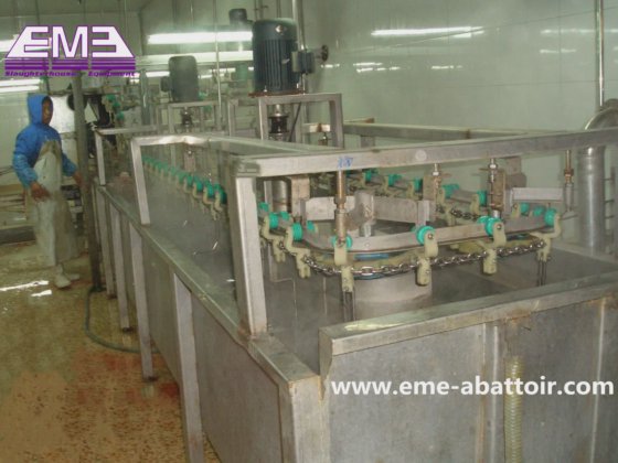 豚の屠殺場設計 豚の頭の湯煎機 自動屠殺設備