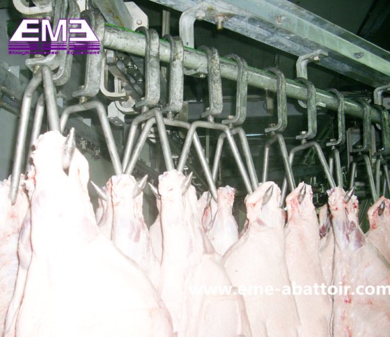 豚の屠殺場設計 豚の頭の湯煎機 自動屠殺設備