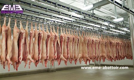 豚の屠殺場設計 豚の頭の湯煎機 自動屠殺設備