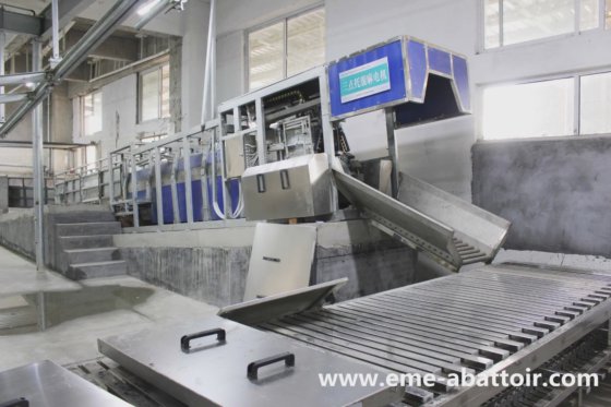 用于屠宰场屠宰肉类加工的清真杀猪脱毛机屠宰设备