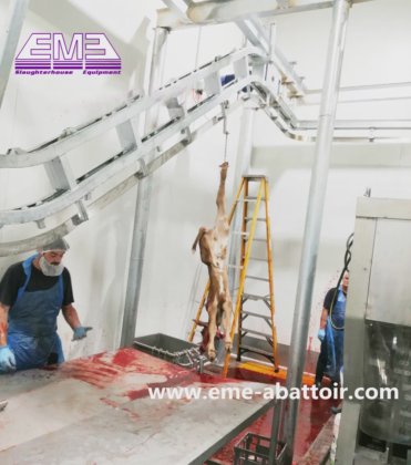 清真屠宰场屠宰场绵羊放血坡提升机 肉类加工绵羊/山羊屠宰设备