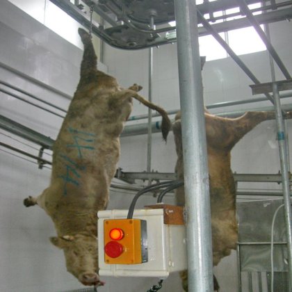 用于牛羊猪的不锈钢传送小车式屠宰机