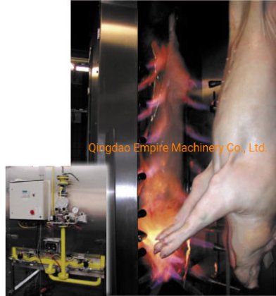 采用智能屠宰场屠宰解决方案的高性能猪胴体嘶格炉屠宰场设备