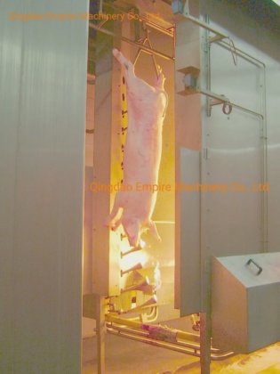 パフォーマンス豚肉 carcass 焼却炉 食肉処理設備 スマート屠殺場