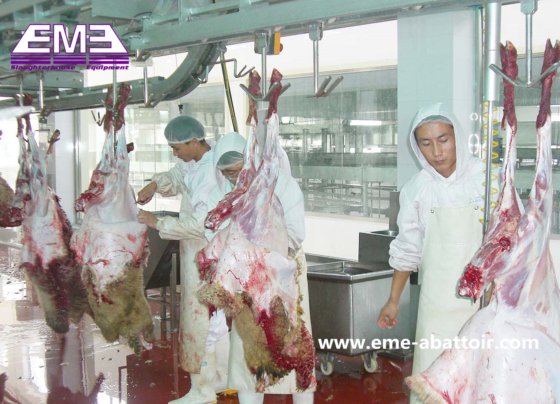 用于屠宰场屠宰场的预剥皮输送机