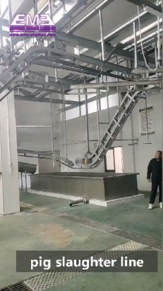 150-200 豚の日ごとの屠殺場機械と豚肉用の器具