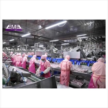 鶏肉処理 鳥の胴体切断機 スチール SS304