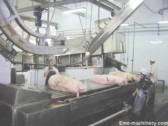 豚屠殺設備 肉処理機器 豚の出血傾斜リフティング機械