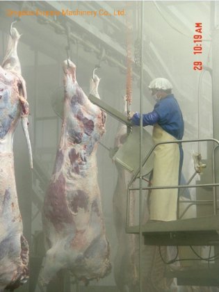 牛肉処理機械用の屠殺場設備、牛肉の胴体分割用ののこぎり