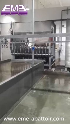 热销生猪屠宰线 屠宰场设备 猪脱毛机