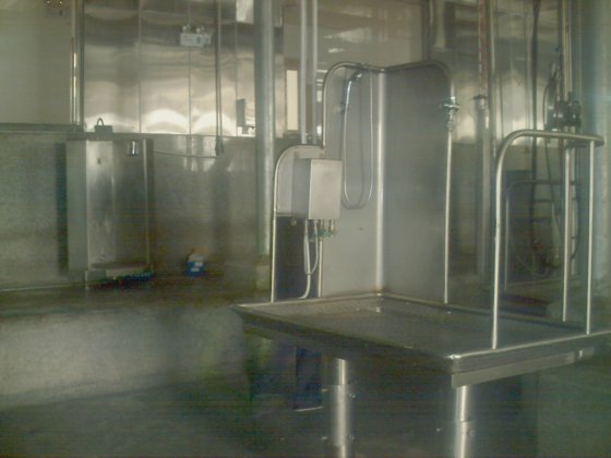 牛の屠殺場 生きた牛 スタンニングプラットフォーム 牛の屠殺機械 牛