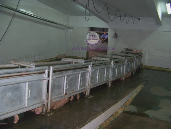 用于屠宰设备的易于安装的活猪入口通道屠宰机