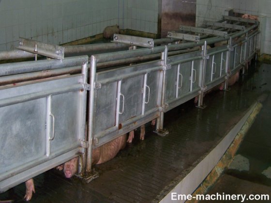 用于屠宰设备的易于安装的活猪入口通道屠宰机
