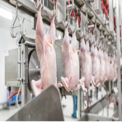 自動アヒル足処理ライン 鶏爪剥がし切断機 鶏肉処理設備