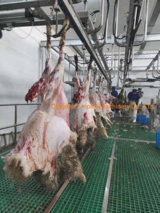 活羊清真屠宰箱 整套羊屠宰场设备 山羊屠宰机价格