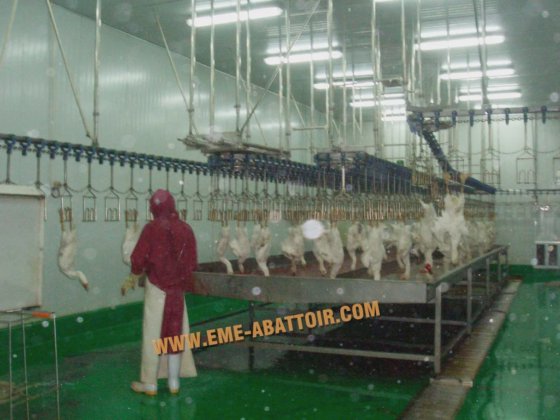 用于鸡鸭鹅的基本定制家禽自动输送轨道屠宰场设备