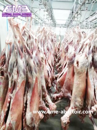 羊の出血マニュアル運搬鉄道ヤギ屠殺場アルパカ食肉処理機